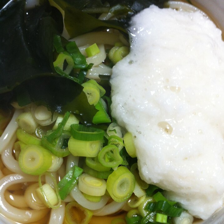 長芋、わかめ、ネギの温かいうどん